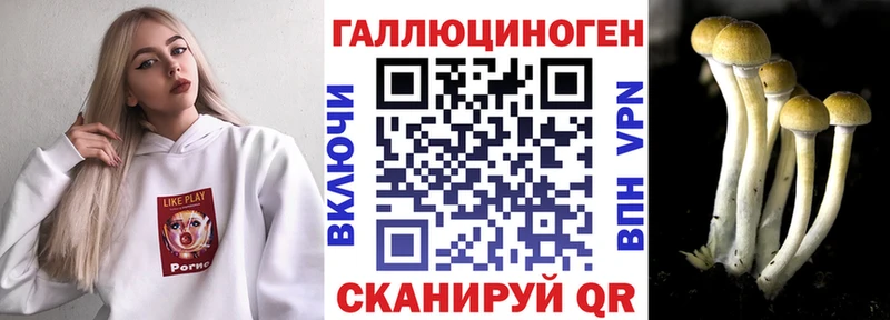 Купить закладки  Бирюч  Псилоцибиновые грибы ЛСД 